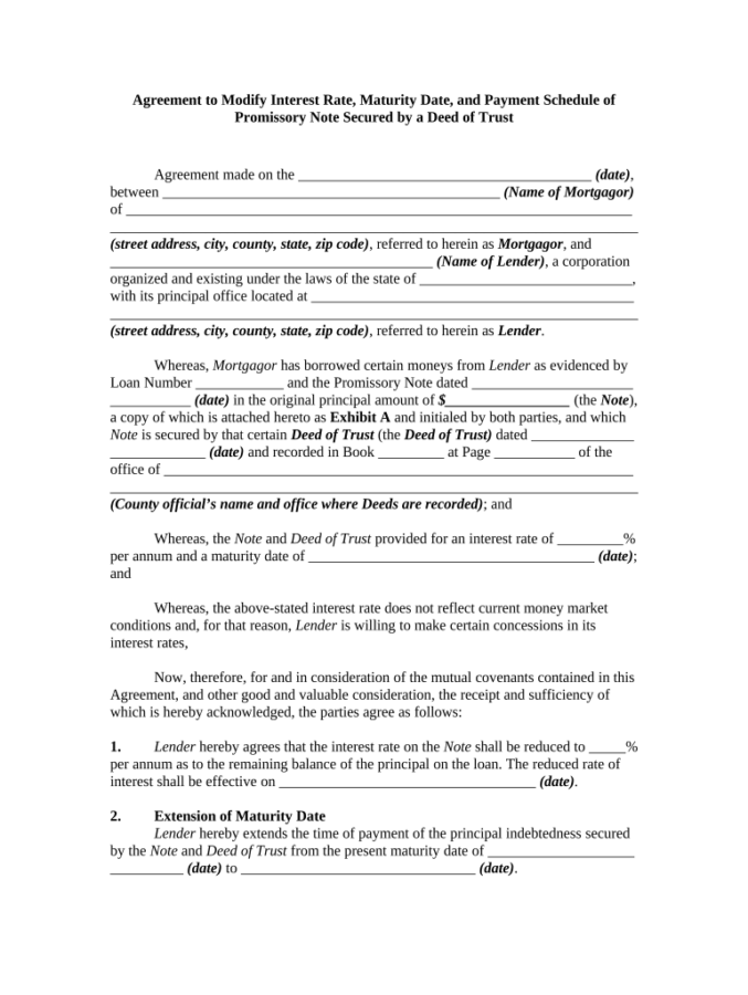 Amendment To Note Amendment To Promissory Note Template